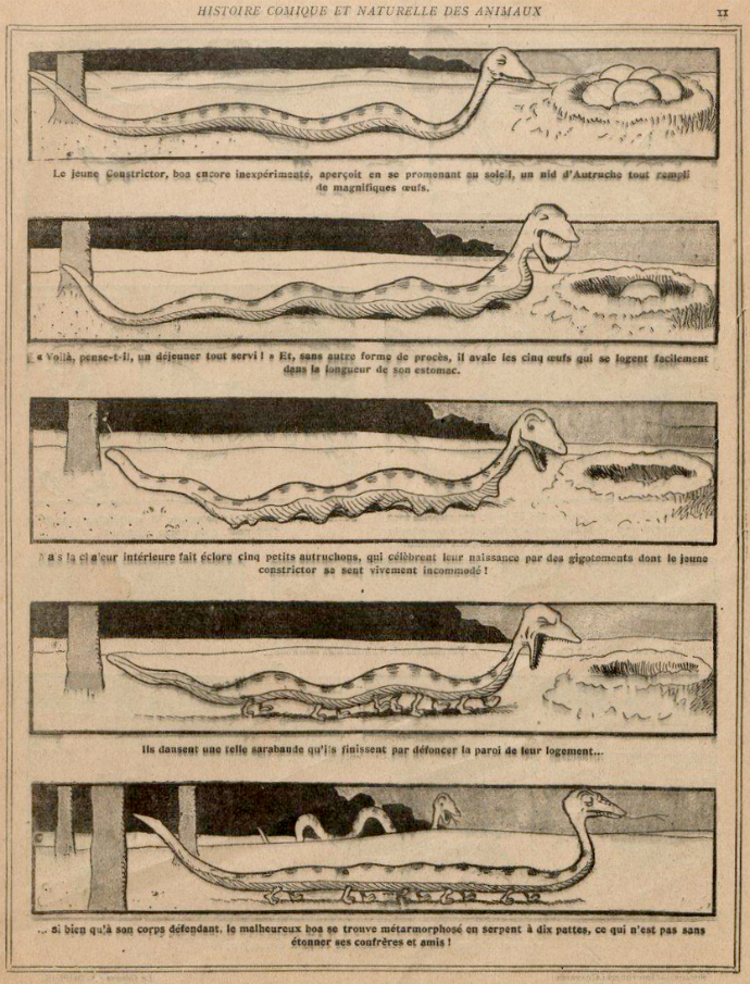 rabier-serpent-pattes-1908