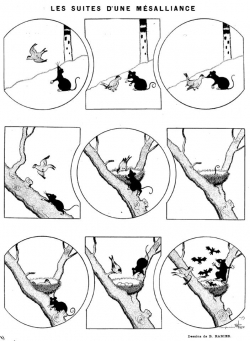De l'origine des chauves-souris